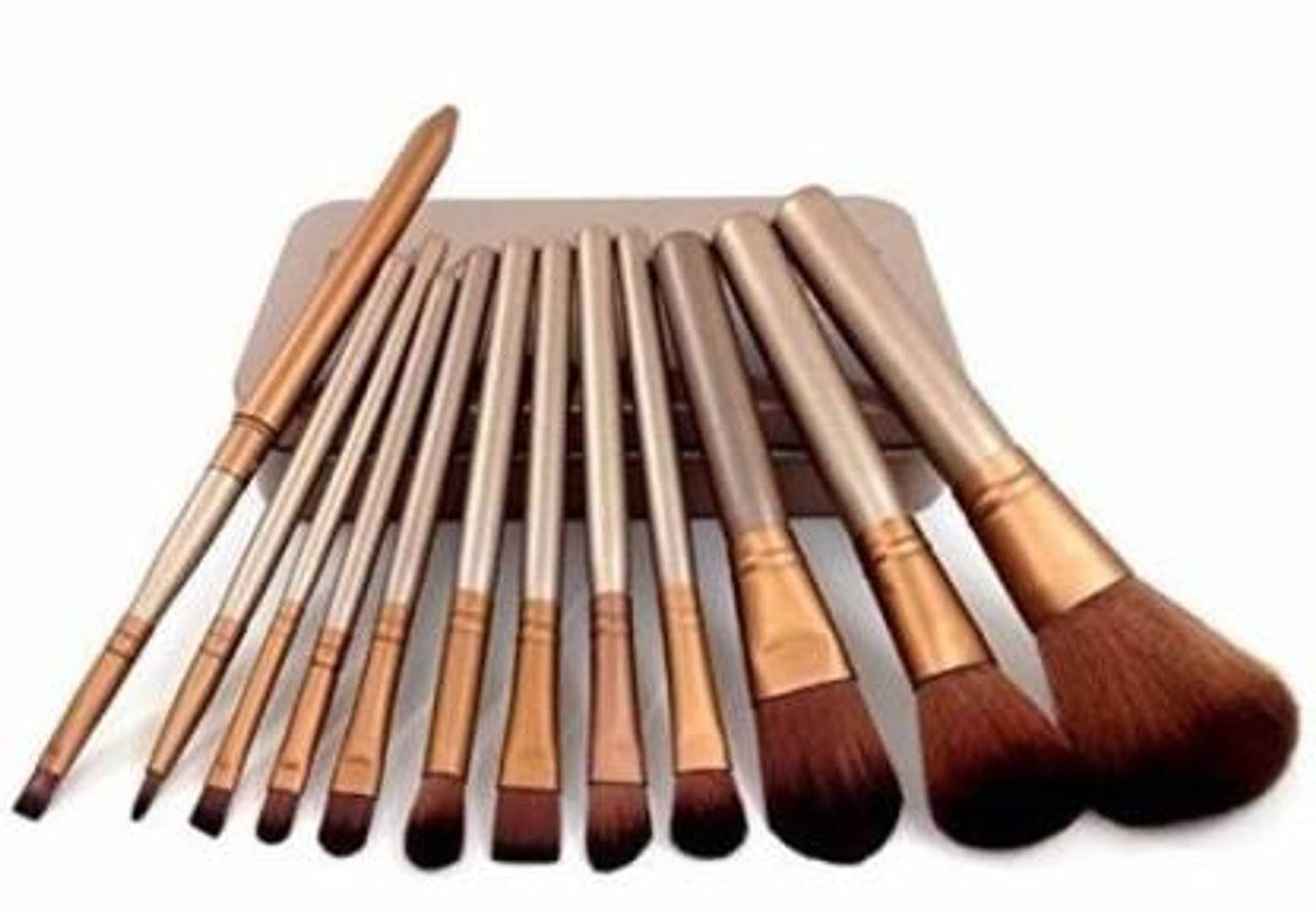 Professional Makeup Brush Set (12 Pcs) With Gold Tin  (Pack Of 12)