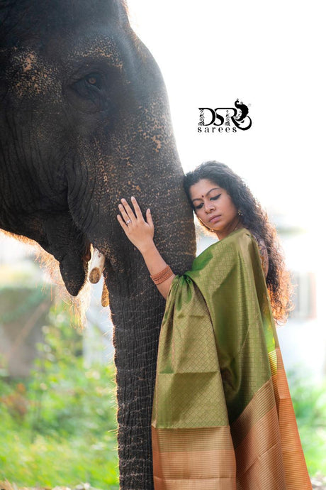 DSR-Anandavalli Tissue Pattu Sarees - Sheetal Fashionzz
